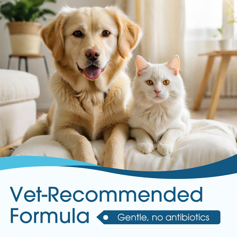 🐶🐱 Ear cleaner 🌈| Relieves itching in dogs & cats 👂